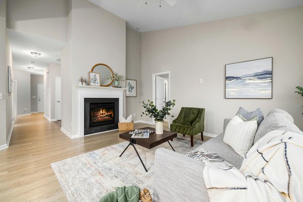 Entretien de la monstera : astuces essentielles pour des feuilles éclatantes